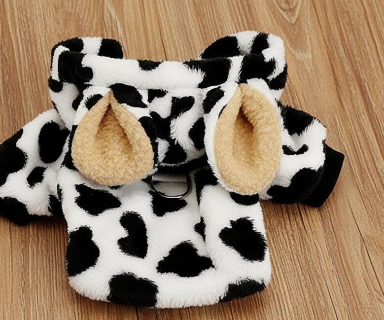 description_selected4