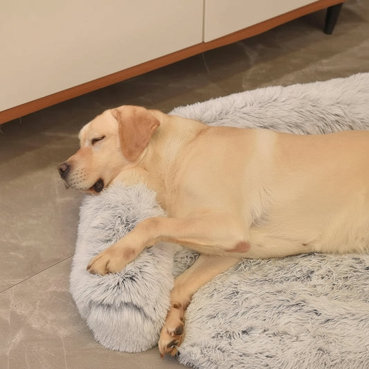 description_selected2