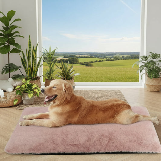 description_selected0