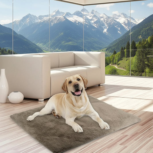 description_selected4