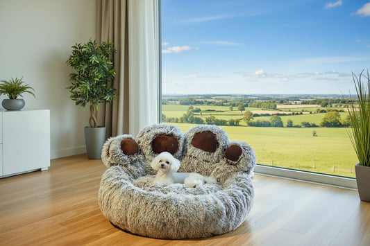 description_selected0