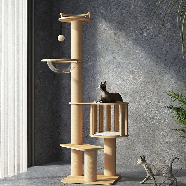 description_selected3