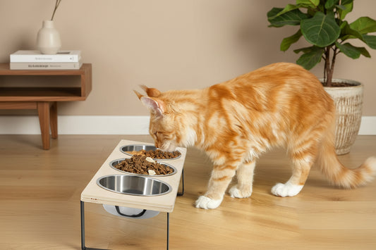 description_selected1