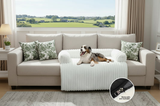 description_selected1