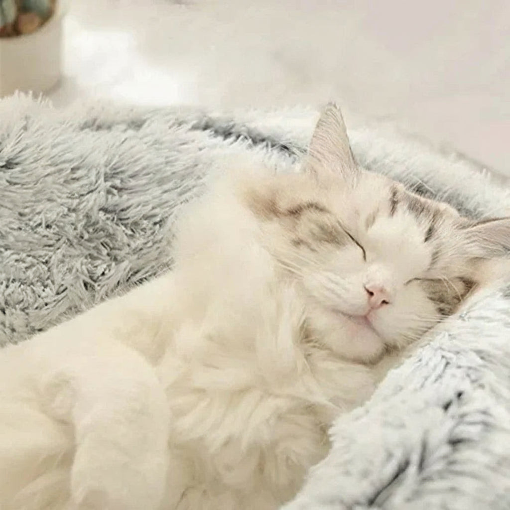 description_selected2