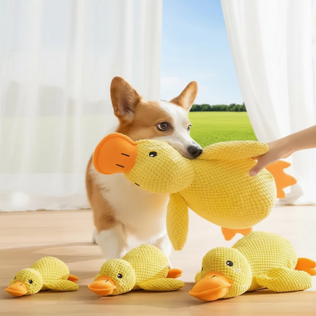 description_selected2