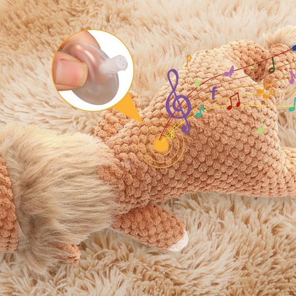 description_selected3