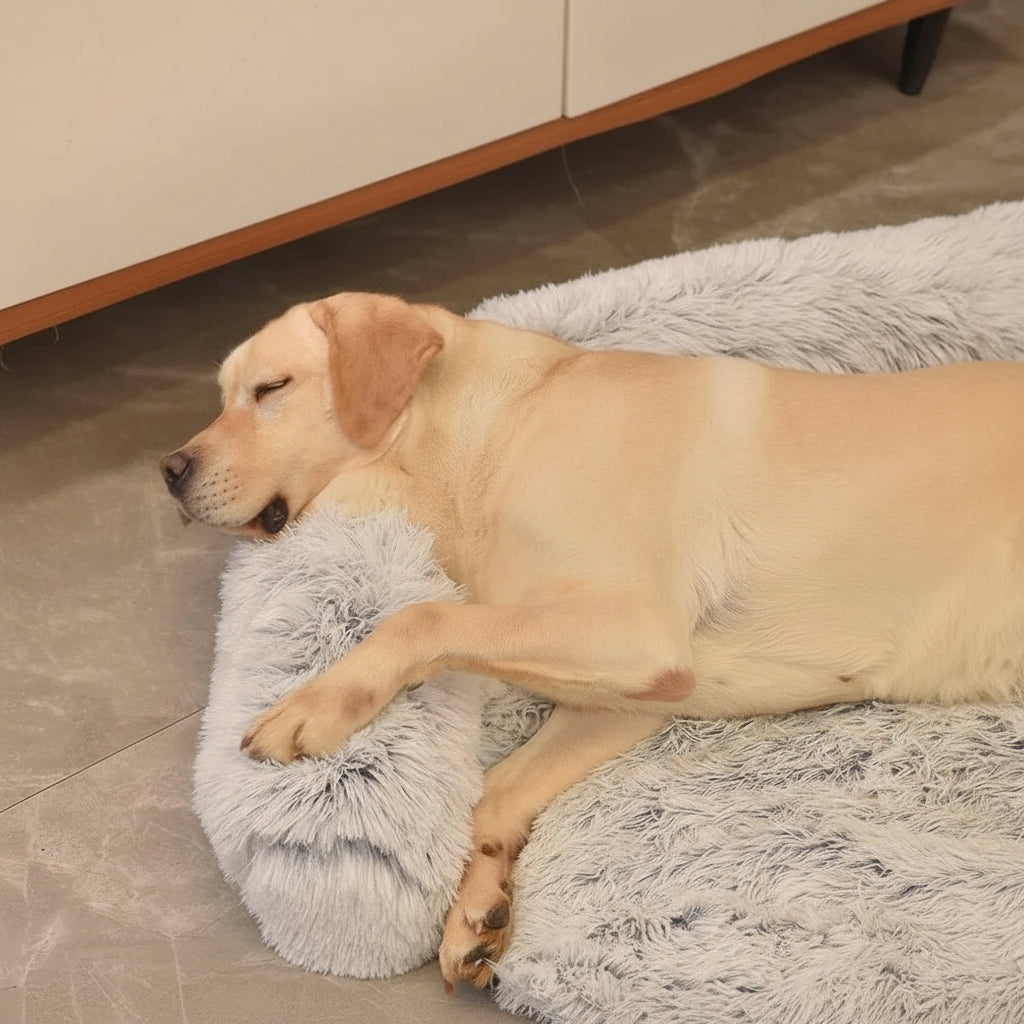 description_selected2