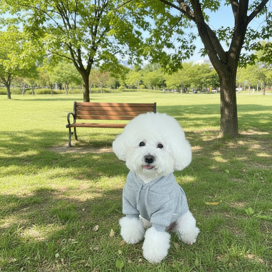 description_selected1