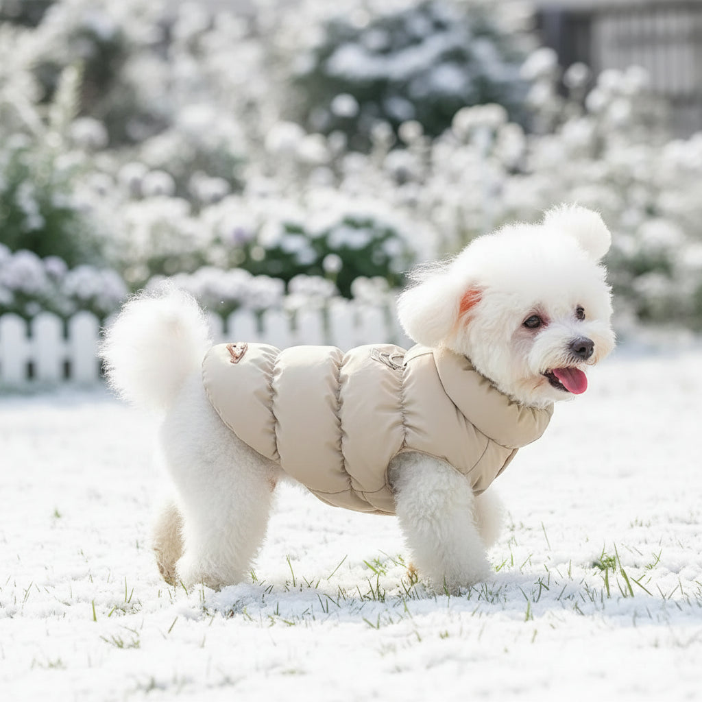 description_selected4