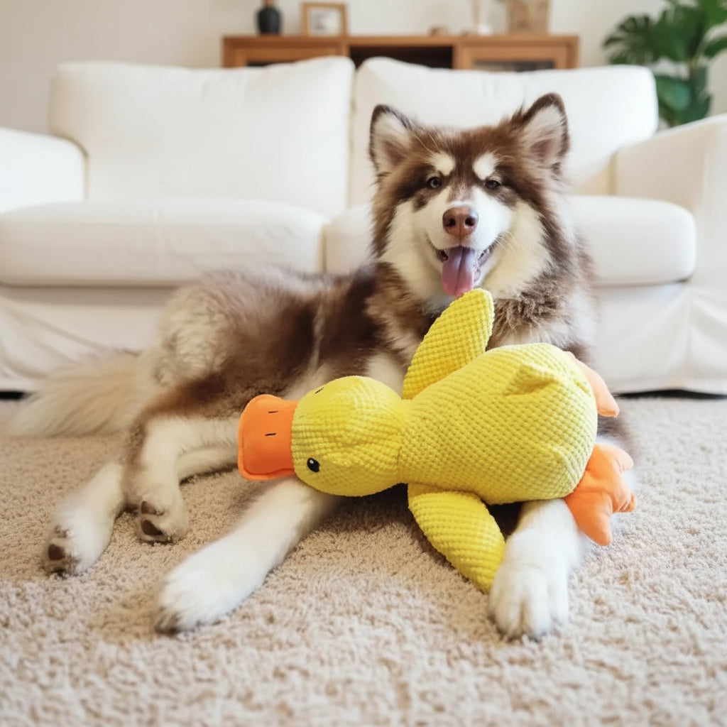 description_selected0