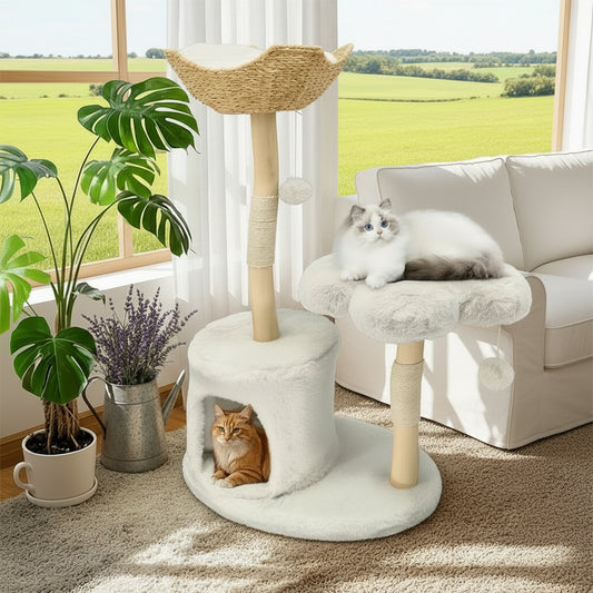 description_selected1