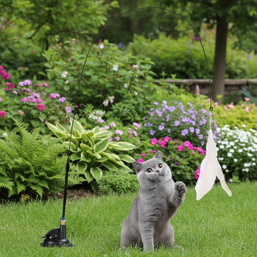 description_selected0