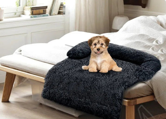 description_selected3