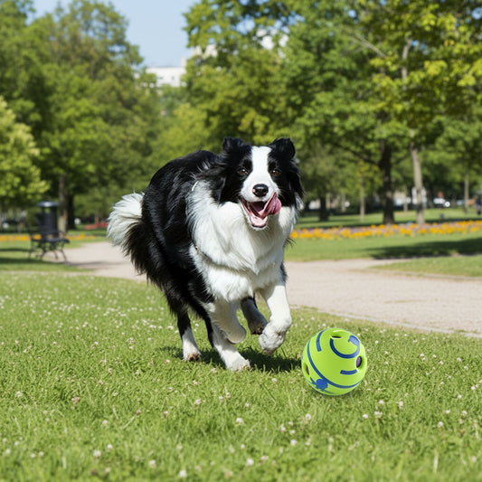 description_selected4