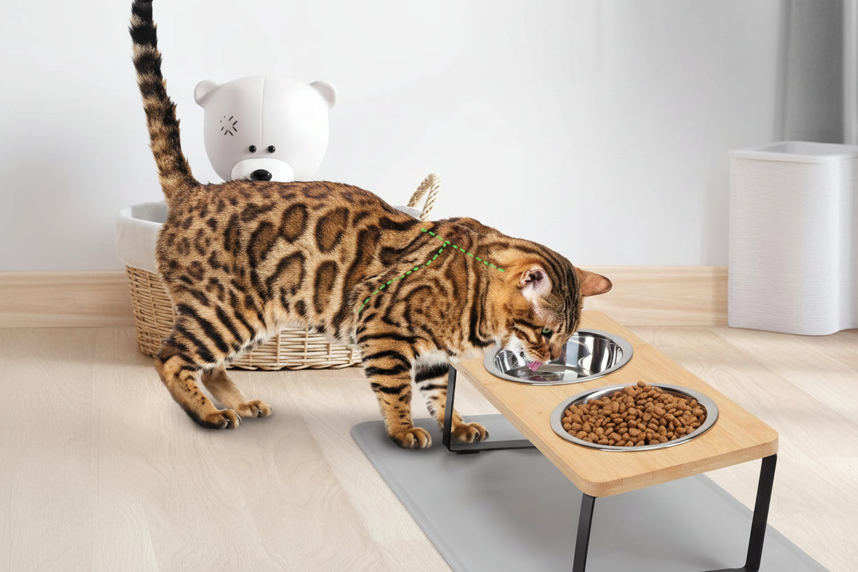 description_selected1