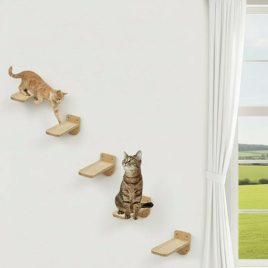 description_selected0