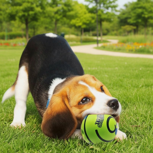 description_selected2