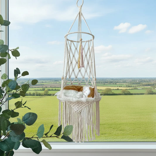 description_selected0